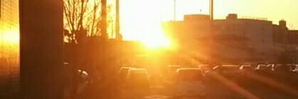 WSjp_insight Profile Banner