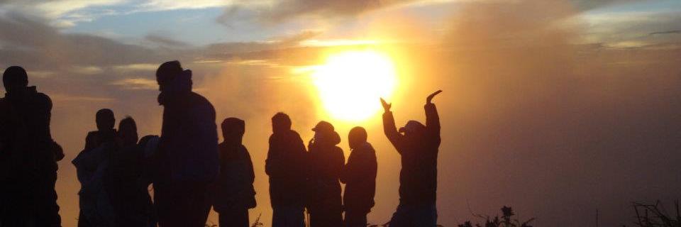 dittoSoek's profile banner image