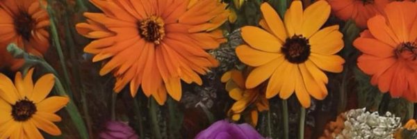 bae_n_booty Profile Banner