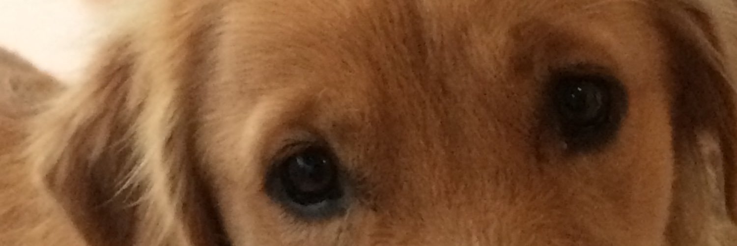 lithiby's profile banner image