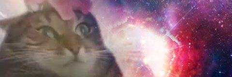 RoastedGotEm's profile banner image