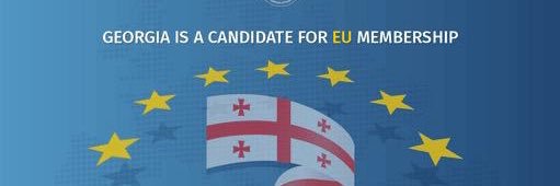 Georgia in Poland banner