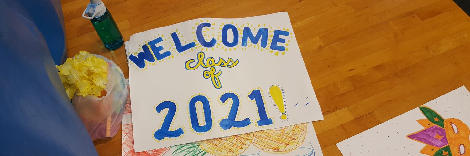 LHS Link Crew banner