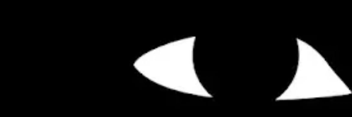 RUFFPR's profile banner image