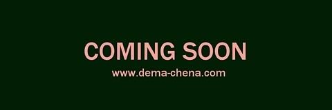 DEMA | CHENA banner