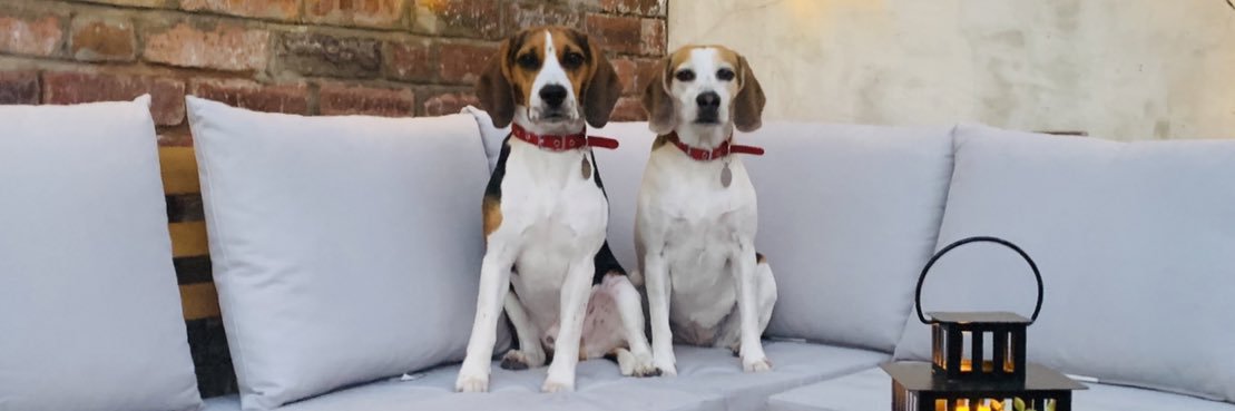 Dr Elena Hill-Artamonova banner