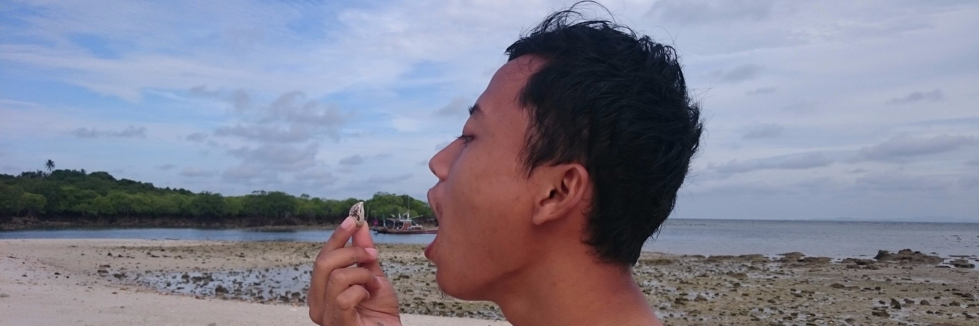 end up at shore banner