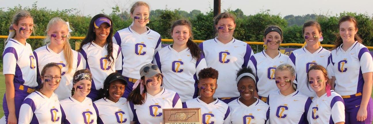 Charger Softball banner