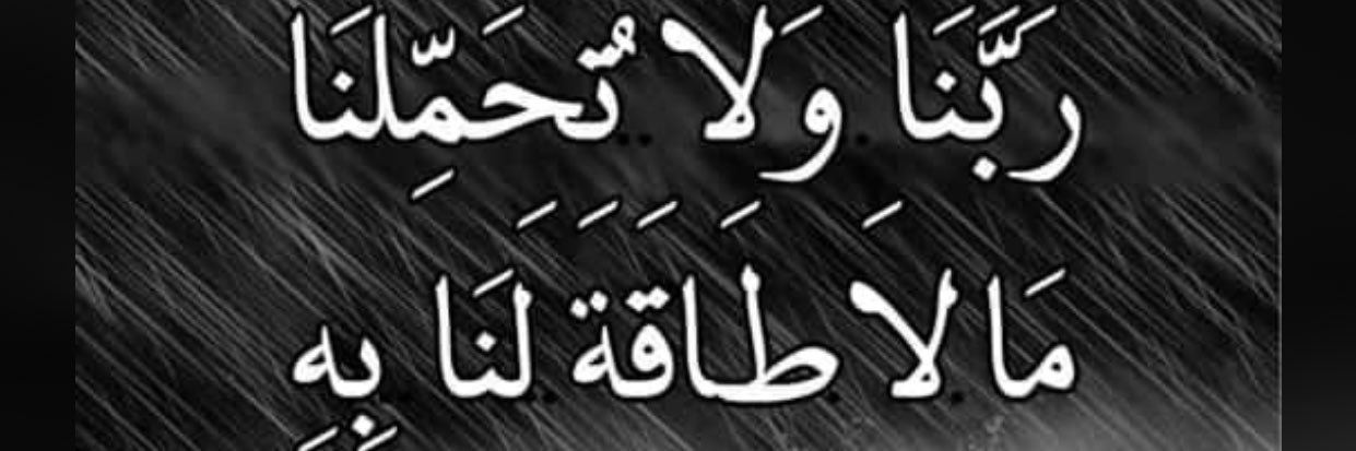 " محمدبن حبيب " banner