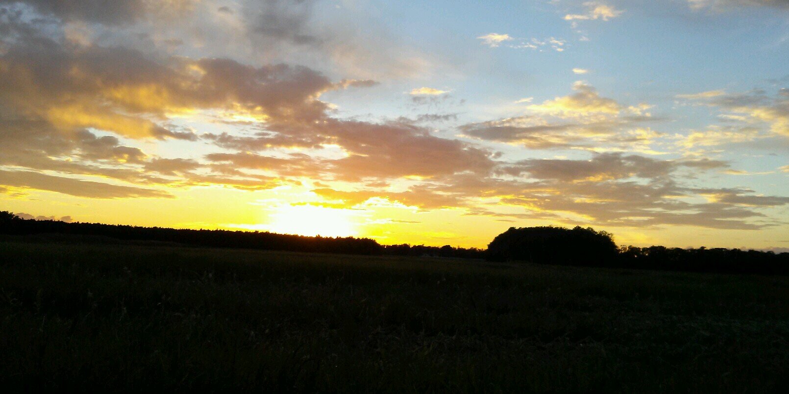 Pungo_Princess's profile banner image