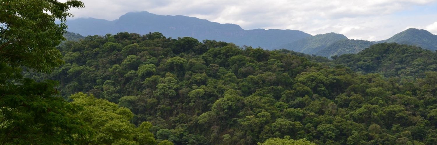 Manuel Ponce Peñalva banner