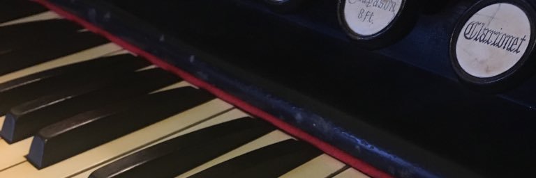 Timothy Allen banner