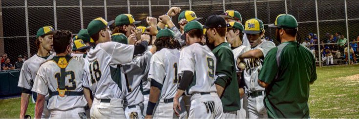 LakeMinneolaBaseball banner