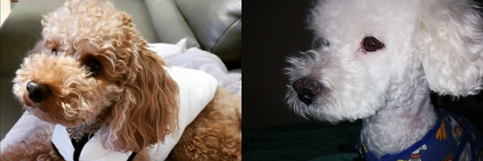 🔸SOLSU-SUGA🏀🎹 banner