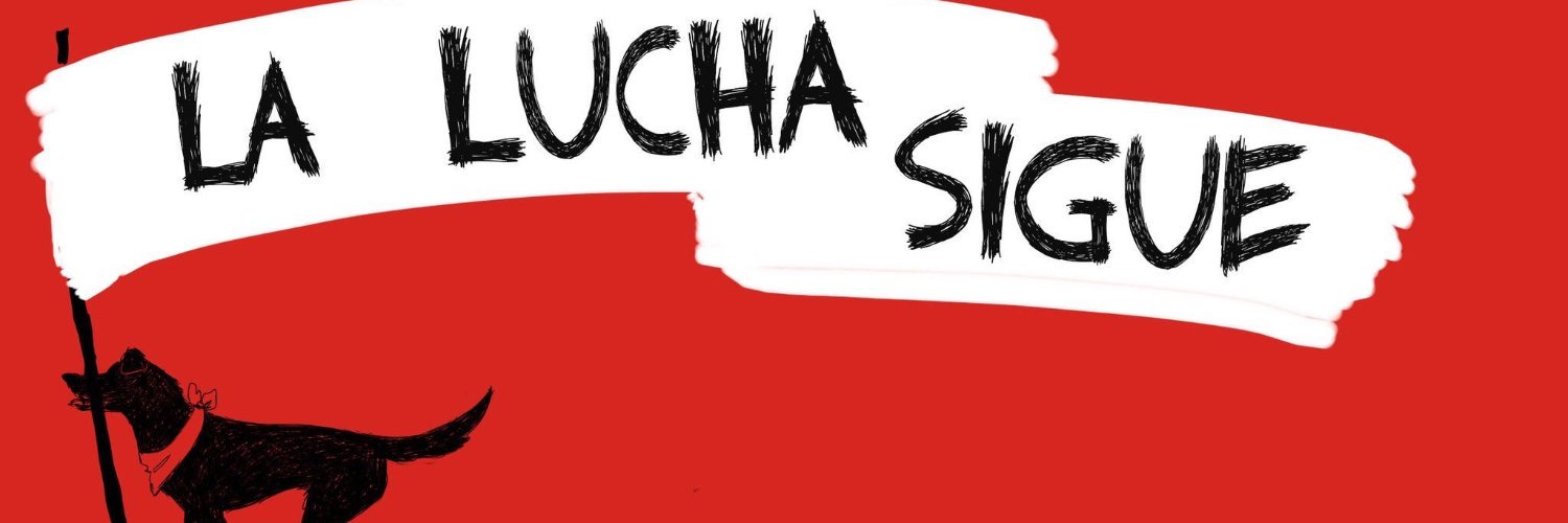 JON SNOW 🇨🇱 banner