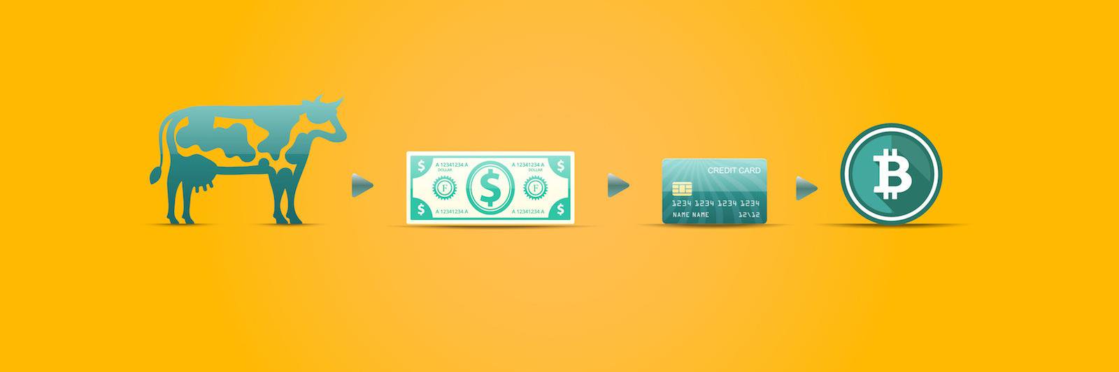 BlockChainTech & DLT-Systems banner