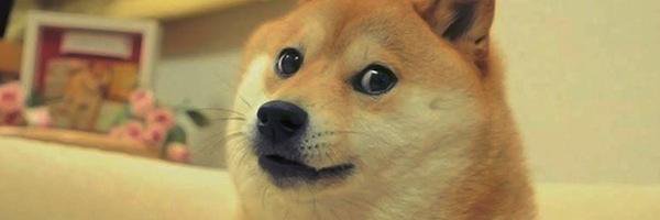 Obi_Doby's profile banner image