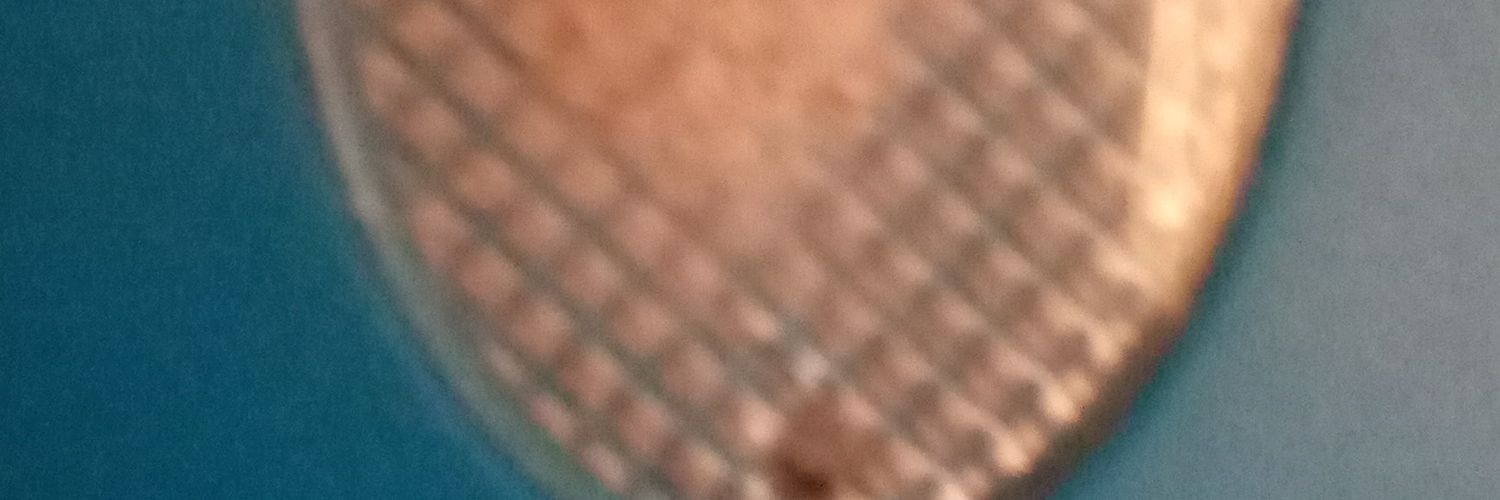 S Magovanyika banner