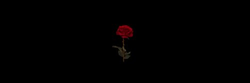 ‍ ‍‍‍‍‍ ‍ ‍‍‍‍‍ ‍ ‍𝑳𝒆𝒄𝒕𝒆𝒓. banner