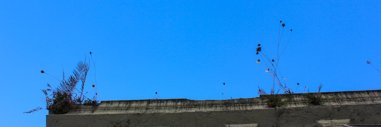 dlopezfonseca's profile banner image