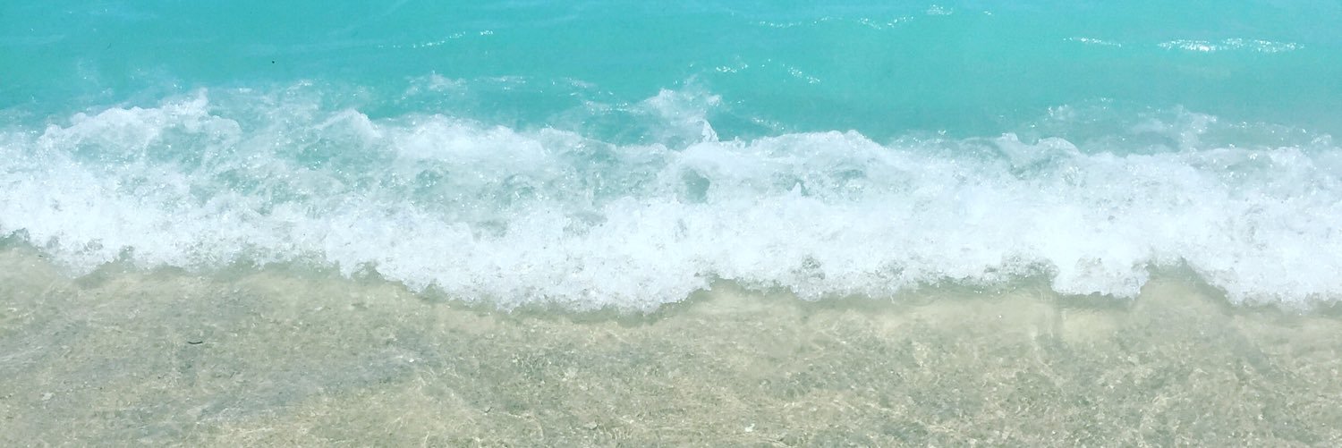 lizethc's profile banner image