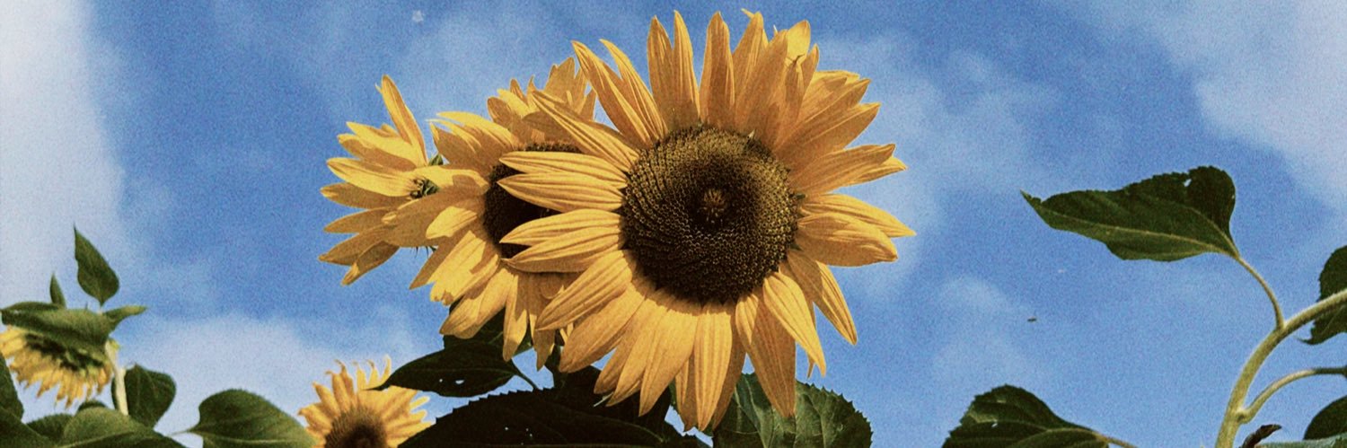 lecattani's profile banner image