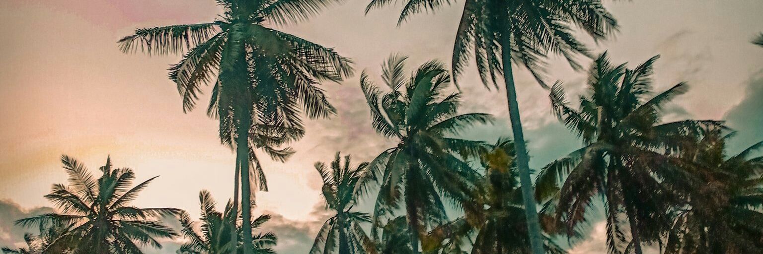 laicaara's profile banner image