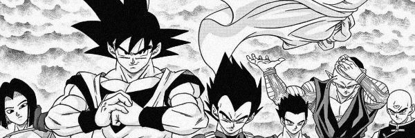 Sparkpoodle1 Profile Banner