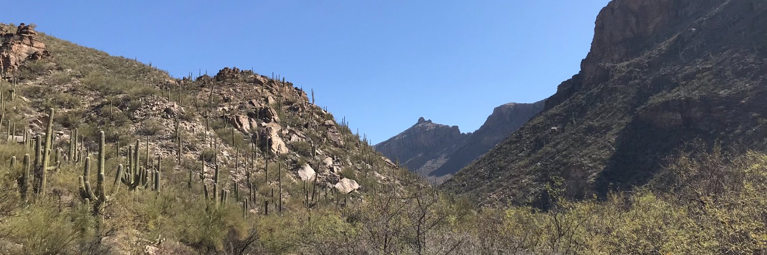 Dr. Eileen Hebets (she/her) 🕷 banner