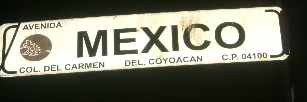 Dr Sarah Bowskill banner