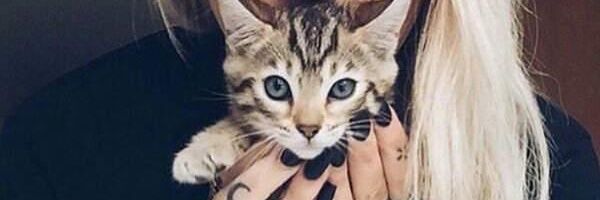 andymarkin's profile banner image