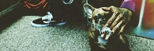 Davidrhendrawan Profile Banner