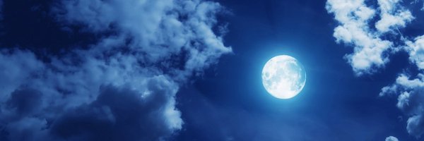 bwdevbr Profile Banner