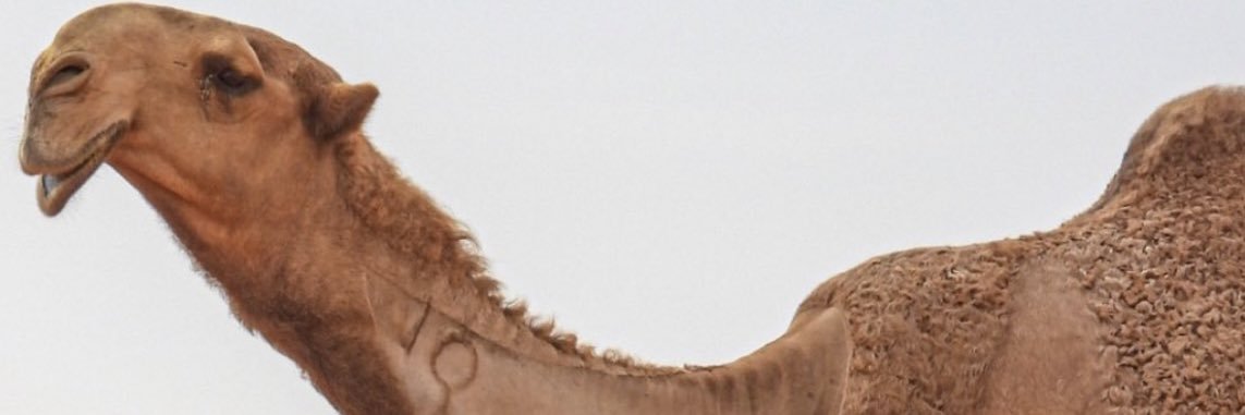 9_3jmi's profile banner image