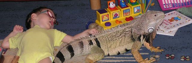 Mike Glassman banner