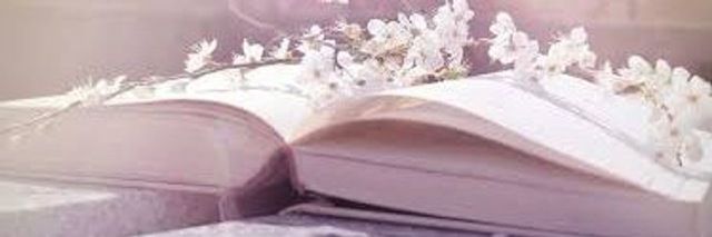 iconichowlter's profile banner image