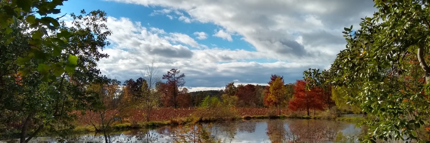 JimmyTTweets's profile banner image