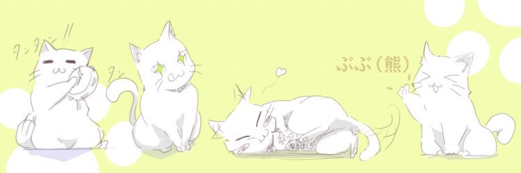 bubunekohoe's profile banner image