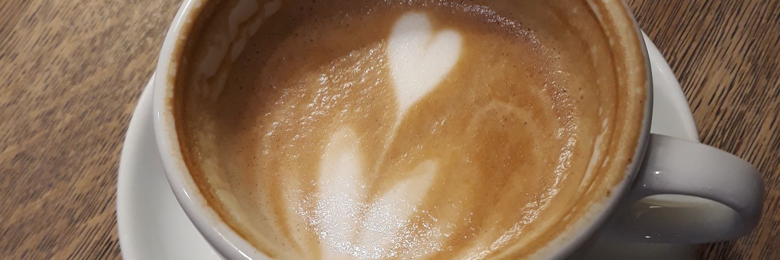 Alican Donmez banner