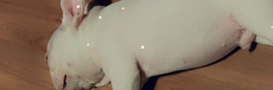 Merilin_as's profile banner image