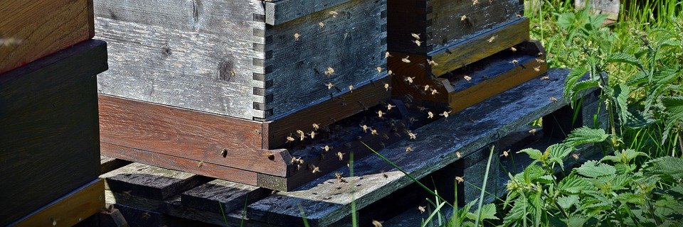 Garett Slater banner