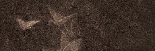 𝑀𝐀𝐑𝐈𝐓𝐇. banner