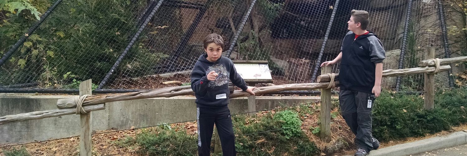 Colleen Blick banner