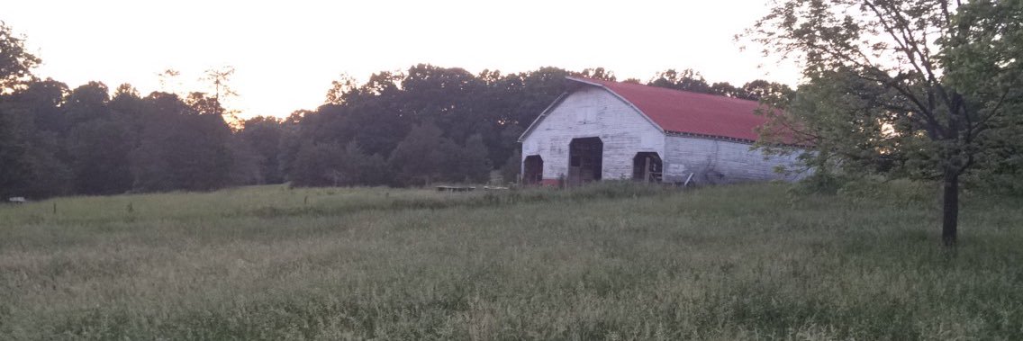 Southern_Will's profile banner image