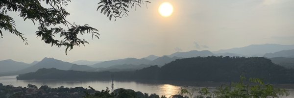 _allylynch Profile Banner