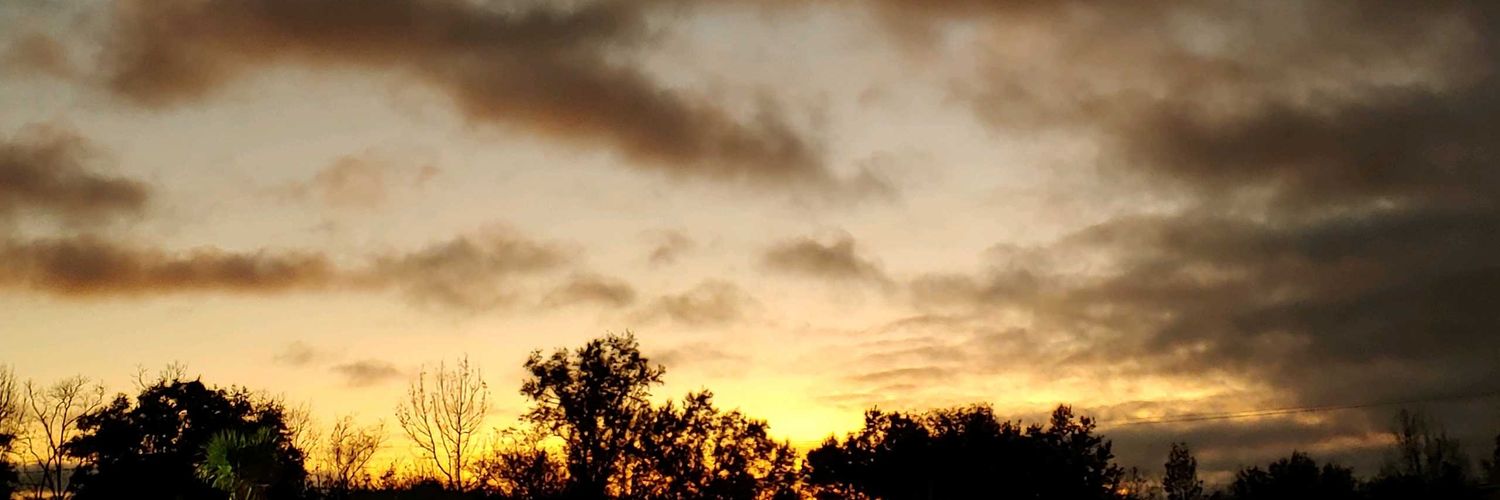 RPitsenbarger's profile banner image