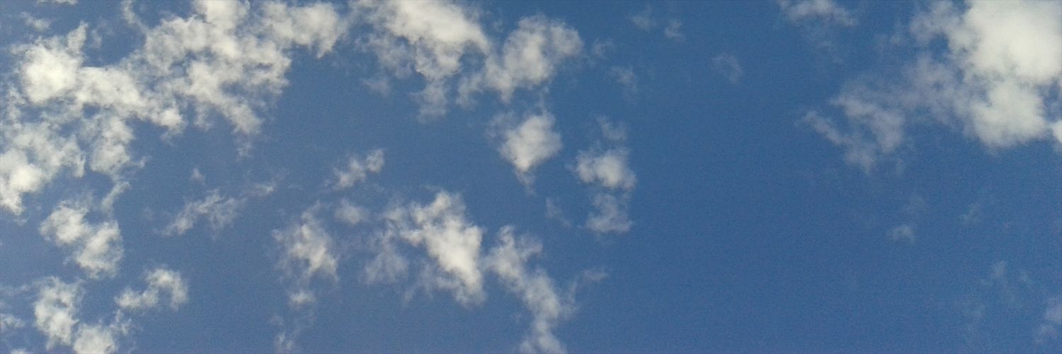 LittleSary8's profile banner image