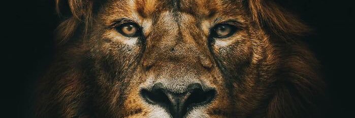 _ofcking's profile banner image