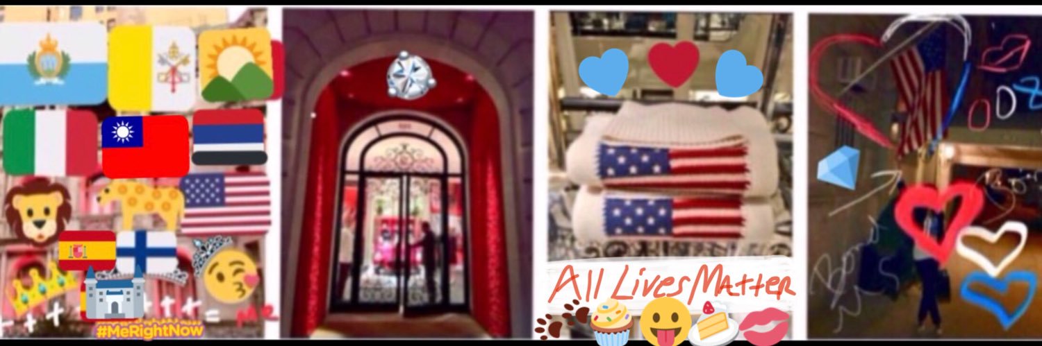 ❤️🇺🇸🛳USACat008🐆💙🐊 banner