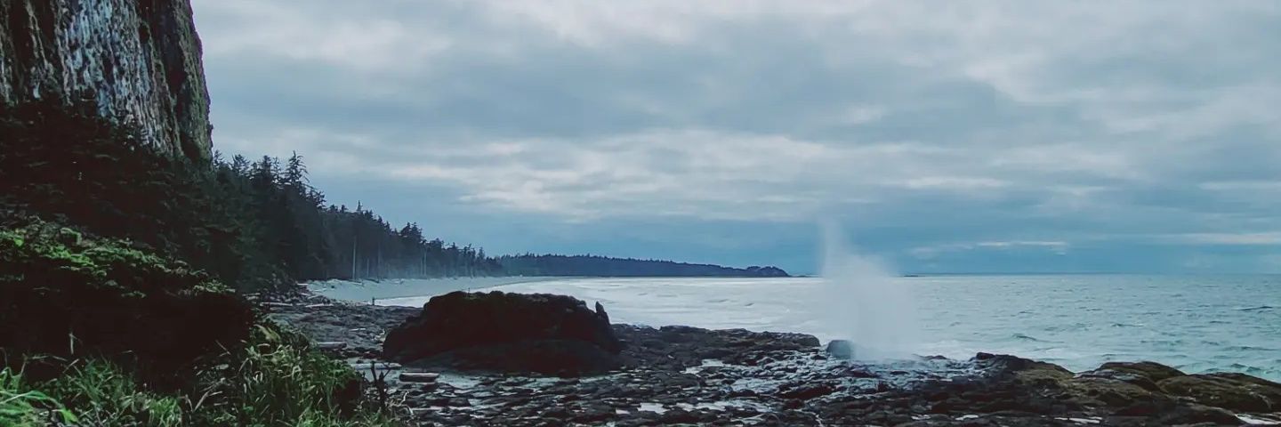 GeraldineRuss's profile banner image